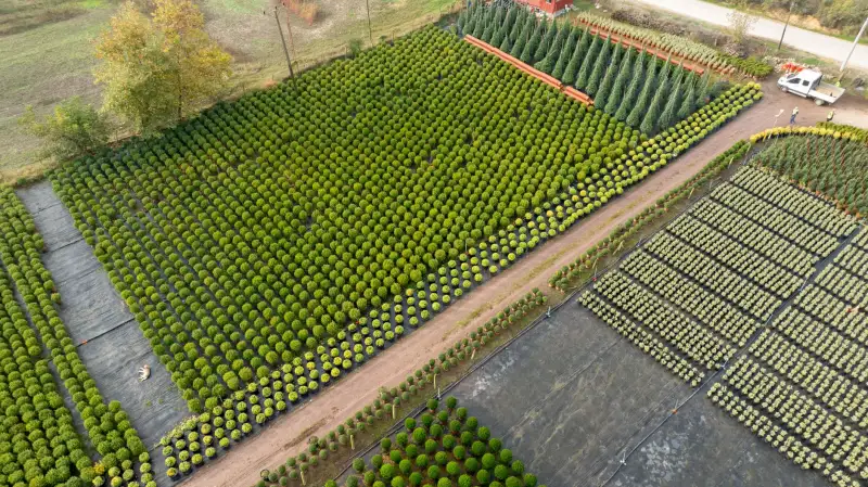 智慧茶饮管理系统如何优化门店库存与供应链流程