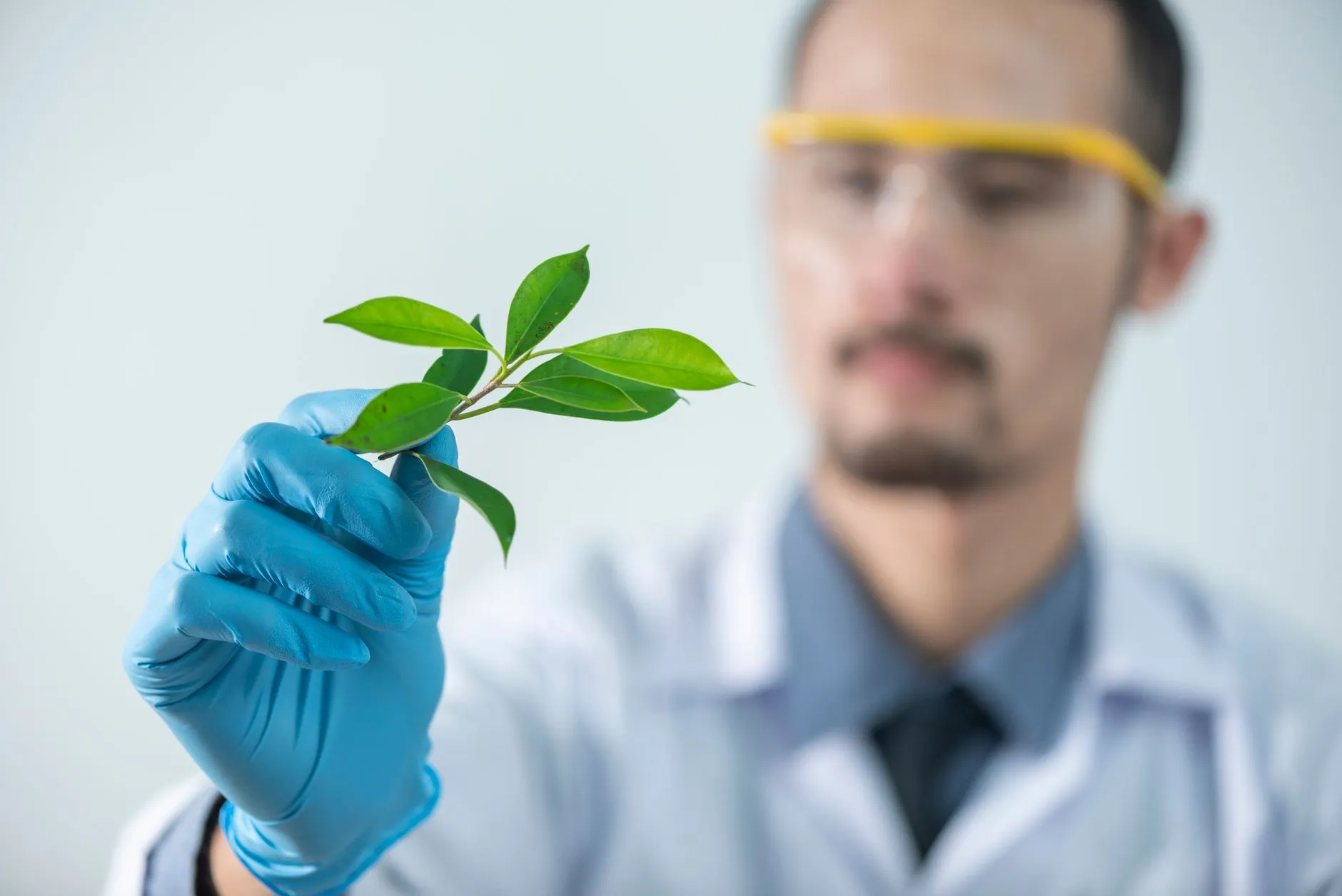 深圳印茶智慧茶饮管理系统功能架构与技术优势解析