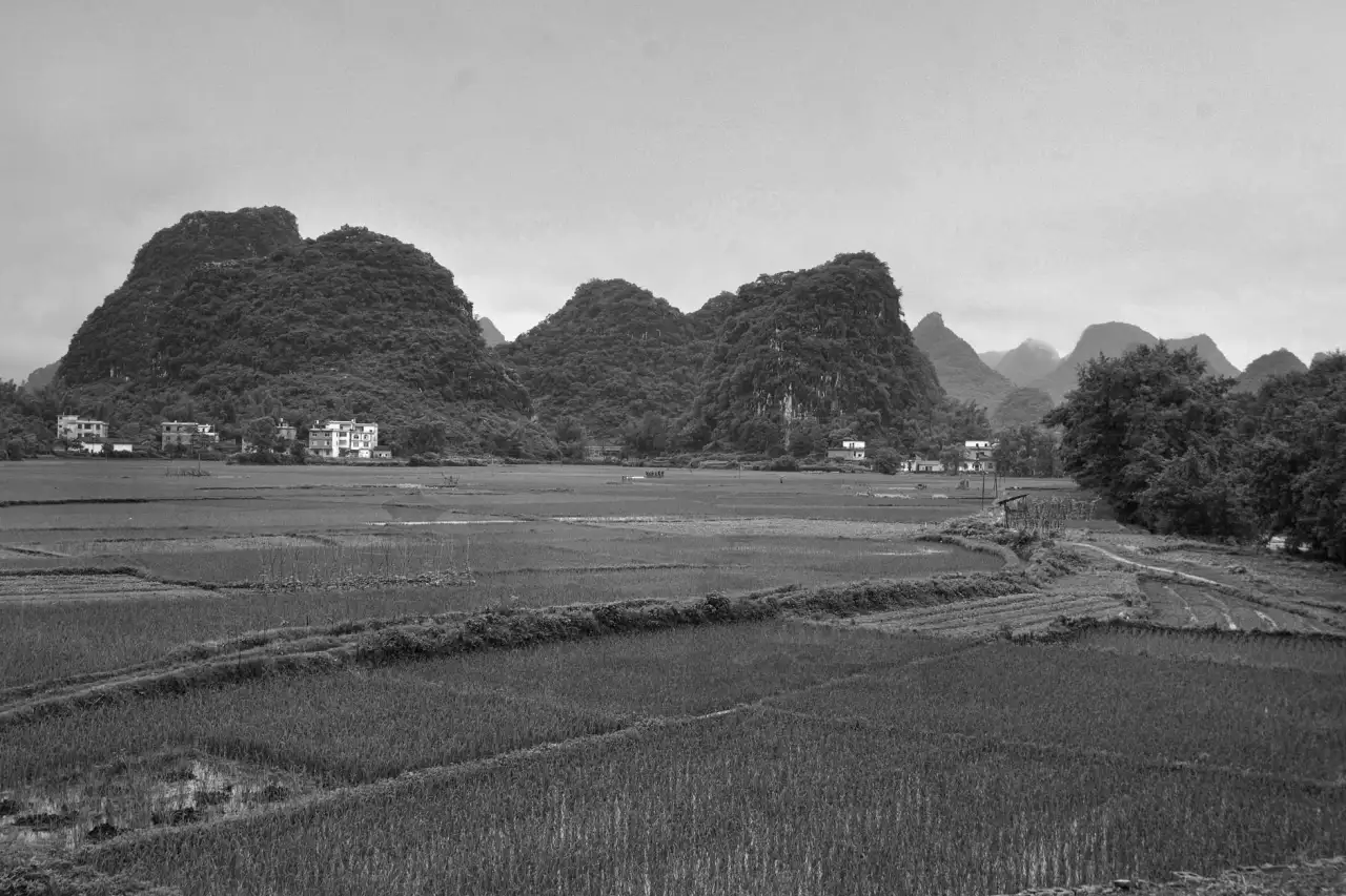 2024年茶饮行业数字化趋势：深圳科技企业推动餐饮软件服务升级正文配图 1