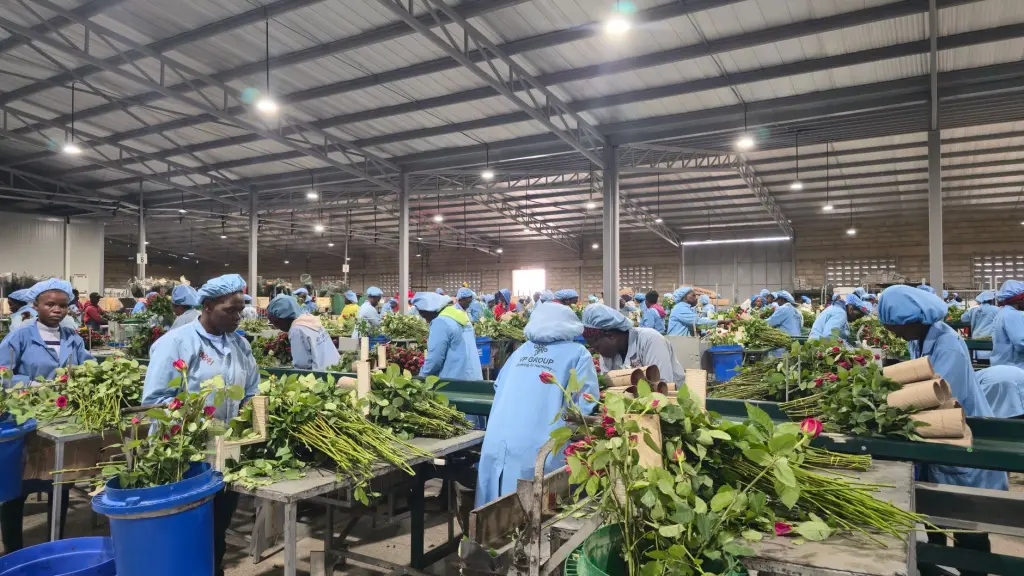 深圳印茶智慧茶饮管理系统功能架构与模块详解