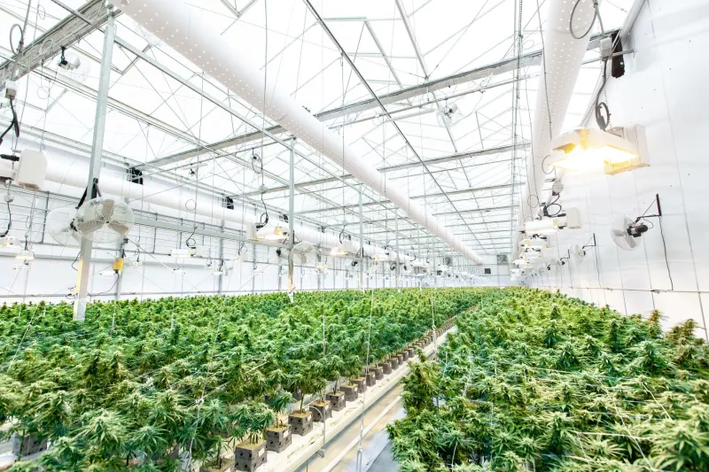 智慧茶饮管理系统核心技术架构与应用场景解析