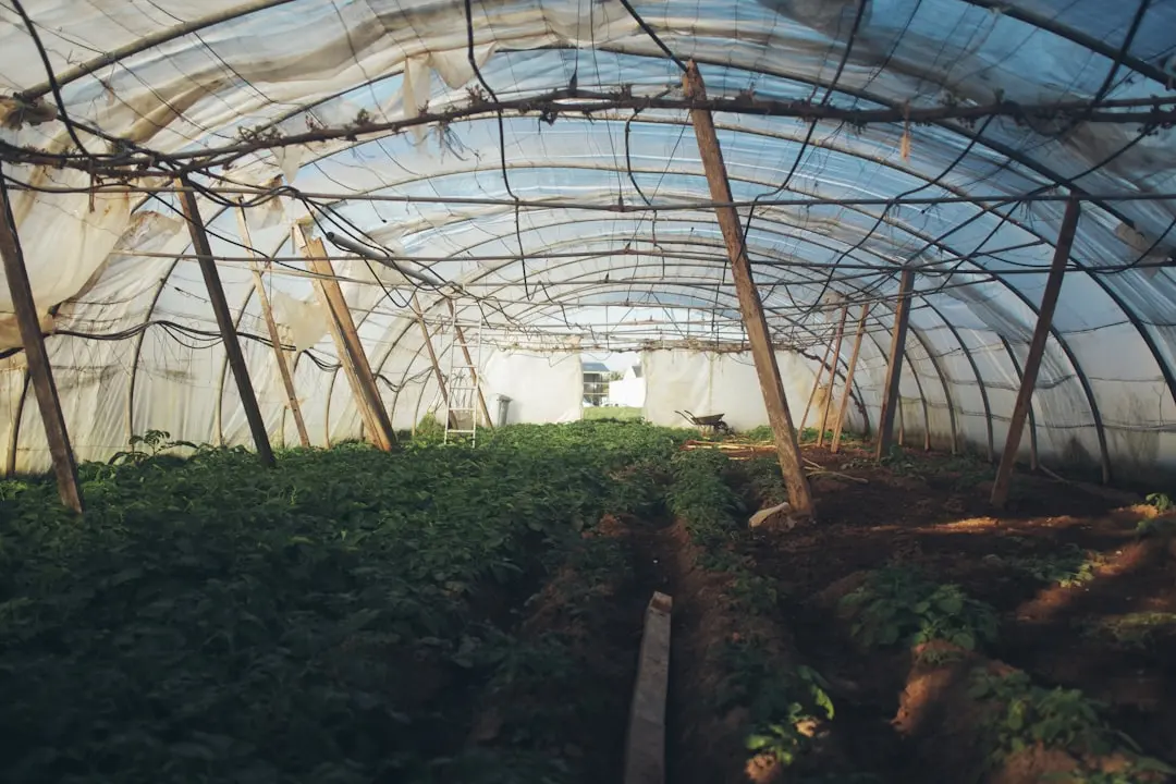 易企科技餐饮数字化运营工具与传统POS系统对比分析