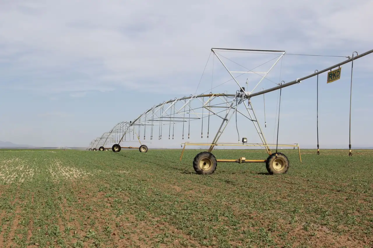 茶饮门店数字化运营趋势：深圳科技企业如何用智慧管理系统提升效率正文配图 2