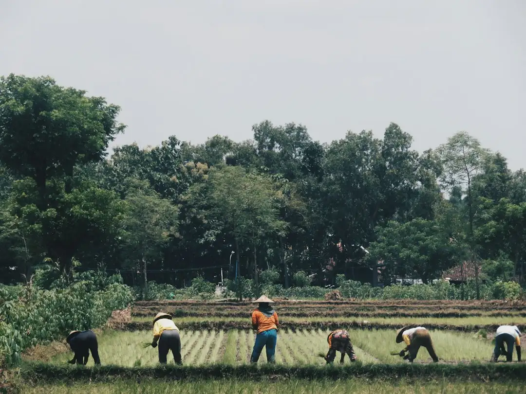 智慧茶饮管理系统技术架构解析：深圳易企科技助力门店高效运营