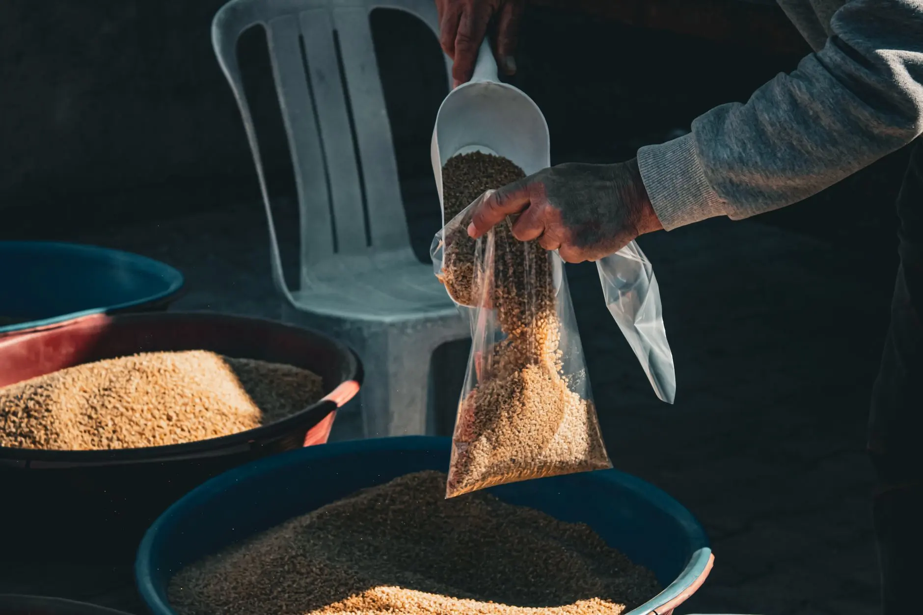 印茶品牌数字化运营工具对比：标准版与专业版功能差异